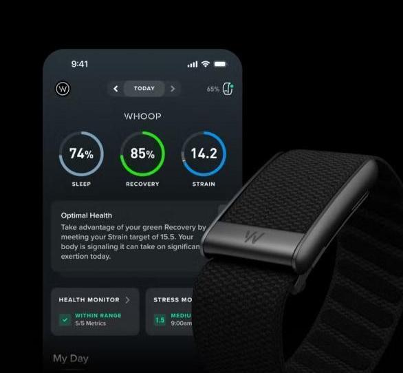 Peak – 12-Month Membership – 5.0 Health and Fitness Wearable – 24/7 Activity and Sleep Tracker with Heart Rate, HRV, Stress Monitor, Personalized Coaching, Healthspan – 14+ Days Battery Life - Peak On Peak – 12-Month Membership – 5.0 Health and Fitness Wearable – 24/7 Activity and Sleep Tracker with Heart Rate, HRV, Stress Monitor, Personalized Coaching, Healthspan – 14+ Days Battery Life - Peak On